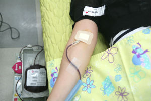 휴가 전 헌혈 먼저 (2013년 7월)
